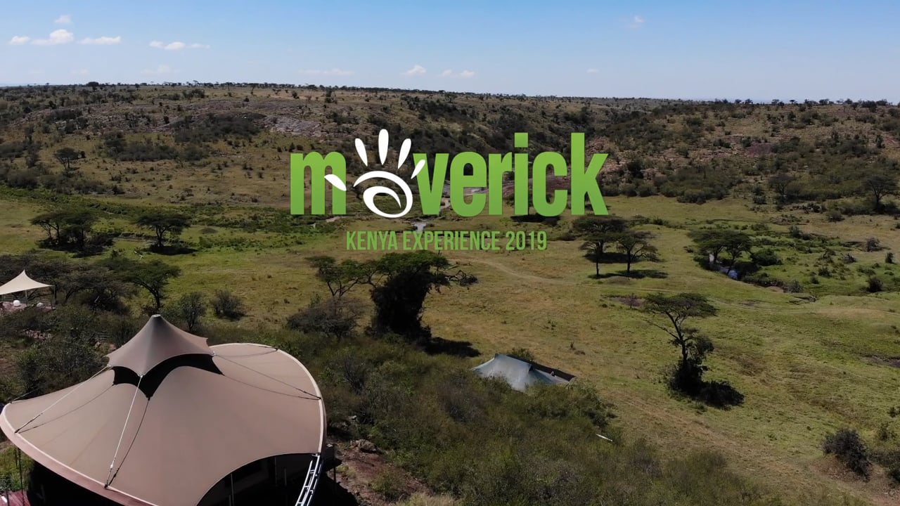 Maverick | Kenya